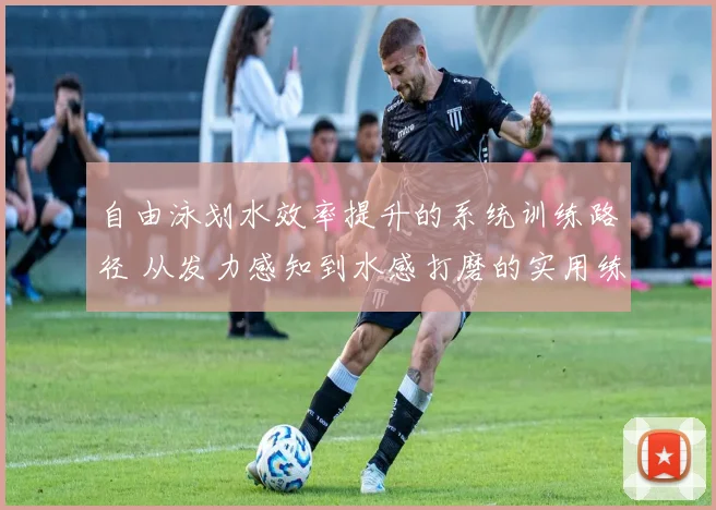 自由泳划水效率提升的系统训练路径 从发力感知到水感打磨的实用练习解析