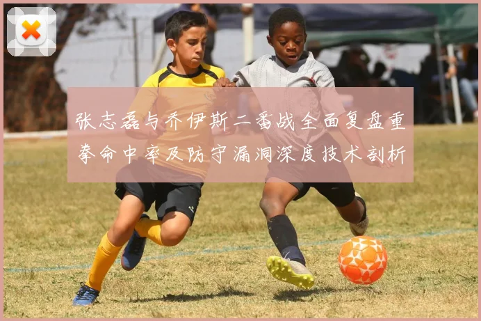 张志磊与乔伊斯二番战全面复盘重拳命中率及防守漏洞深度技术剖析